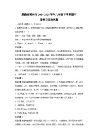 湖南省郴州市2024-2025学年八年级下学期期中道德与法治试卷（解析版）