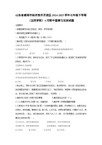 山东省威海市经济技术开发区2024-2025学年七年级下学期（五四学制）4月期中道德与法治试卷
