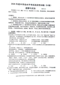 2025年山东省临沂市罗庄区中考二模道德与法治试题(B卷)（中考模拟）