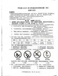 2025年山西省阳泉市平定县中考二模道德与法治试卷（中考模拟）