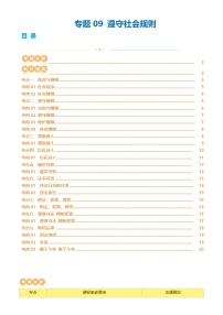 专题09 遵守社会规则 （讲义）- 2024年中考道德与法治一轮复习讲练测（全国通用）-A4