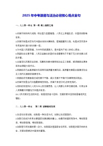 2025年中考道德与法治必背核心观点金句 学案
