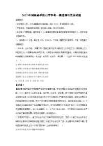 2025年河南省平顶山市中考一模道德与法治试卷（解析版）