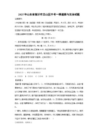 2025年山东省临沂市兰山区中考一模道德与法治试卷（解析版）