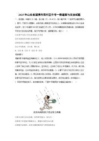 2025年山东省淄博市周村区中考一模道德与法治试卷（解析版）