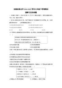 【道德与法治】安徽省淮北市2024-2025学年七年级下学期期末试题