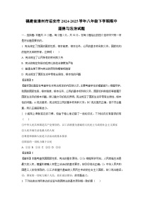 【道德与法治】福建省漳州市诏安市2024-2025学年八年级下学期期中试题（解析版）