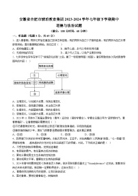 【7道期中】安徽省合肥市琥珀教育集团2023-2024学年七年级下学期期中道德与法治试题（含解析）