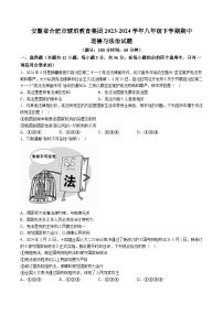 【8道期中】安徽省合肥市琥珀教育集团2023-2024学年八年级下学期期中道德与法治试题（含解析）