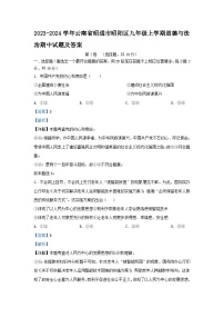 2023-2024学年云南省昭通市昭阳区九年级上学期道德与法治期中试题及答案