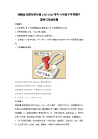 河南省洛阳市伊川县2024-2025学年八年级下学期期中道德与法治试卷（解析版）