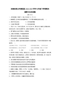 安徽省淮北市濉溪县2024-2025学年七年级下学期期末道德与法治试卷