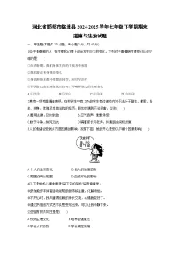 【道德与法治】河北省邯郸市临漳县2024-2025学年七年级下学期期末试题