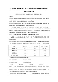 【道德与法治】广东省广州市增城区2024-2025学年七年级下学期期末试题