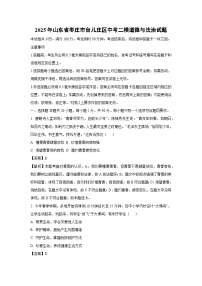 2025年山东省枣庄市台儿庄区中考二模[中考模拟]道德与法治试卷（解析版）