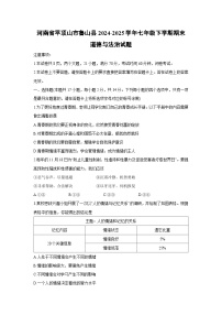 河南省平顶山市鲁山县2024-2025学年七年级下学期期末道德与法治试卷