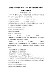 四川省乐山市沐川县2024-2025学年七年级下学期期末道德与法治试卷