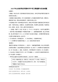 2025年山东省枣庄市滕州市中考三模道德与法治试卷（解析版）