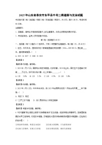 2025年山东省泰安市东平县中考二模[中考模拟]道德与法治试卷（解析版）