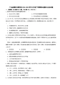 广东省揭阳市揭西县2024-2025学年七年级下学期期末道德与法治试题