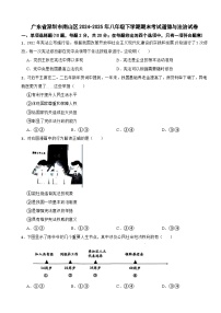 广东省深圳市南山区2024-2025年八年级下学期期末考试道德与法治试卷