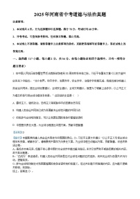 2025年河南省中考道德与法治真题（解析卷）