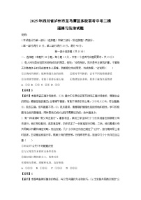 2025年四川省泸州市龙马潭区多校联考中考二模[中考模拟]道德与法治试卷（解析版）