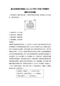 湖北省孝感市孝南区2024-2025学年八年级下学期期中真题道德与法治试卷（解析版）