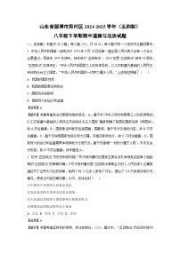 山东省淄博市周村区2024-2025学年（五四制）八年级下学期期中道德与法治试卷（解析版）