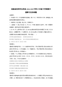 河南省洛阳市汝阳县2024-2025学年八年级下学期期中道德与法治试卷（解析版）