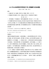 2025年山东省青岛市黄岛区中考二模道德与法治试卷（解析版）