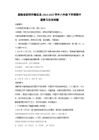 湖南省邵阳市隆回县2024-2025学年八年级下学期期中道德与法治试卷（解析版）
