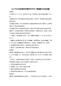 2025年山东省烟台市莱州市中考一模[中考模拟]道德与法治试卷（解析版）