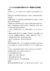 2025年山东省烟台市莱州市中考一模[中考模拟]道德与法治试卷（解析版）