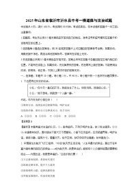 2025年山东省临沂市沂水县中考一模[中考模拟]道德与法治试卷（解析版）