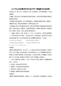 2025年山东省青岛市市北区中考一模道德与法治试卷（解析版）