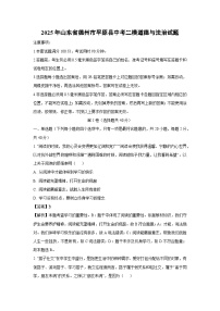 【道德与法治】2025年山东省德州市平原县中考二模试题（解析版）