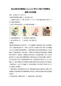 【道德与法治】河北省邢台市襄都区2024-2025学年八年级下学期期末试题（解析版）