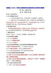 统编版（2024）八年级上册道德与法治期末复习必背知识点提纲 学案