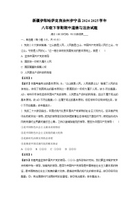新疆伊犁哈萨克自治州伊宁县2024-2025学年八年级下学期期中道德与法治试卷（解析版）