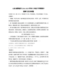 山东省聊城市2024-2025学年八年级下学期期中道德与法治试卷（解析版）