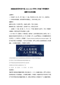 河南省洛阳市洛宁县2024-2025学年八年级下学期期中道德与法治试卷（解析版）
