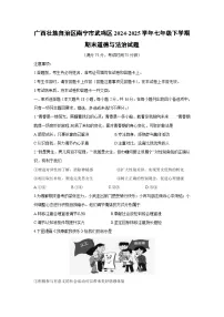 【道德与法治】广西壮族自治区南宁市武鸣区2024-2025学年七年级下学期期末试题