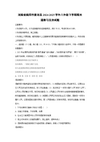 【道德与法治】河南省南阳市唐河县2024-2025学年八年级下学期期末试题（解析版）