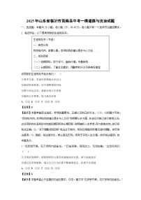【道德与法治】2025年山东省临沂市莒南县中考一模试题（解析版）