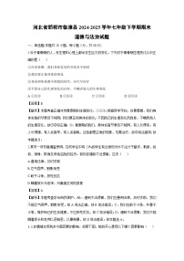 河北省邯郸市临漳县2024-2025学年七年级下学期期末道德与法治试卷（解析版）
