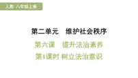 初中政治 (道德与法治)人教版（2024）八年级上册（2024）树立法治意识复习课件ppt
