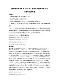 河南省洛阳市嵩县 2024-2025学年八年级下学期期中道德与法治试卷（解析版）