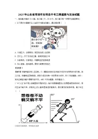 2025年山东省菏泽市东明县中考三模道德与法治试卷（解析版）