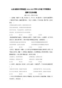 山东省德州市陵城区2024-2025学年七年级下学期期末道德与法治试题